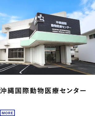 沖縄国際動物医療センター