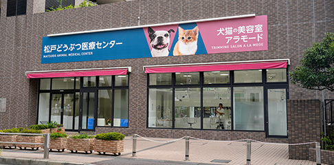 松戸どうぶつ医療センターの外観写真