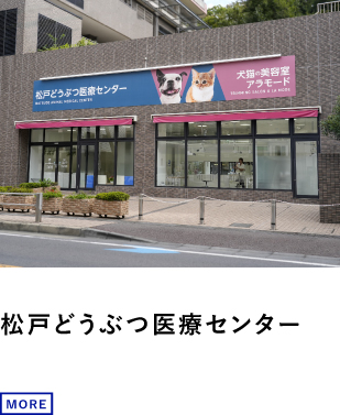 松戸どうぶつ医療センター