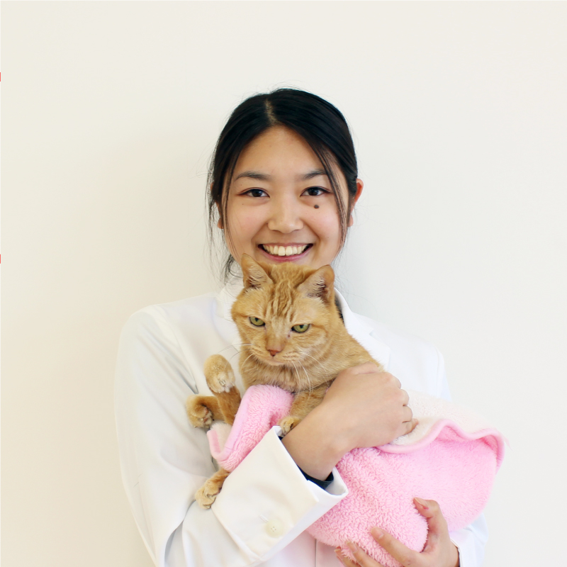 石井 由里子